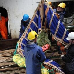 По рыбе в список вошло в том числе направление «Промышленное рыболовство»