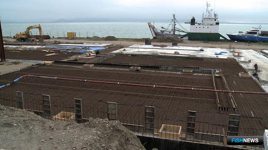Два рыбоперерабатывающих комплекса строятся на площадке «Моховая». Фото пресс-службы правительства Камчатки