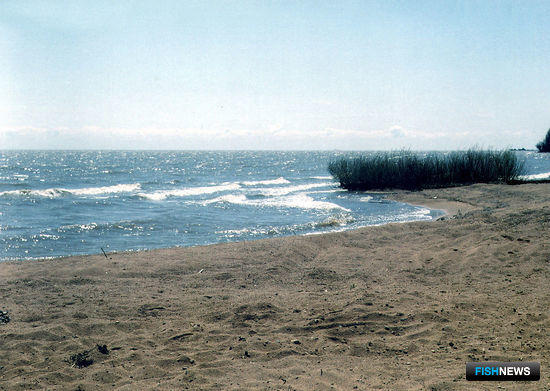 Озеро Ханка весной. Фото Романвер («Википедия»)