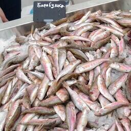 Рыбную отрасль Севастополя простимулируют рублем