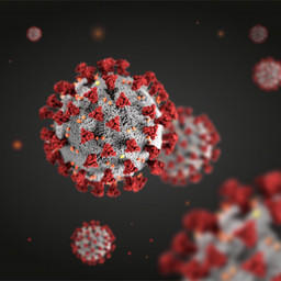 Китайский центр по контролю и профилактике заболеваний (CDC) заявил об обнаружении живого коронавируса на внешней упаковке замороженной трески