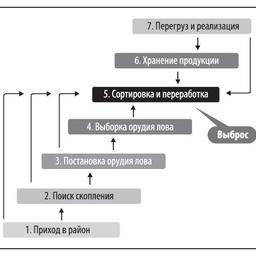 Рисунок 1. Схема промыслового цикла и механизма выбросов