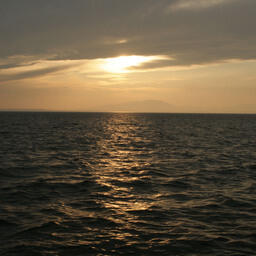 Концепция прибрежного рыболовства предполагает поддержку предприятий отрасли