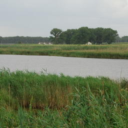 Река Сосыка в Краснодарском крае, на которой расположен один из выставленных на торги РВУ. Фото Гайдука («Википедия»)
