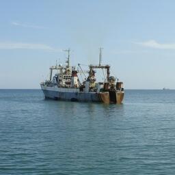 Совгаванцы, обманным путем оформившие удостоверения личности моряка, на самом деле на судах не работали. Архивное фото