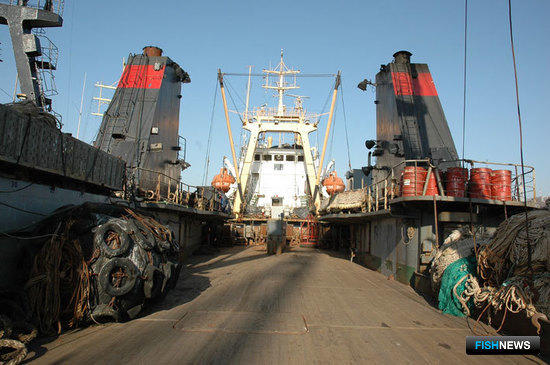 Pacific Andes попросили из российской рыбодобывающей отрасли