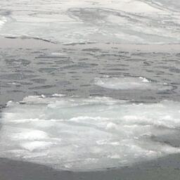 Хабаровские рыбаки активно открыли промысловый сезон