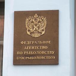 Коллегия Росрыболовства соберется на расширенное заседание 8 апреля