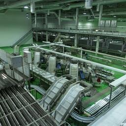 В этом году открылся современный рыбоперерабатывающий комплекс в селе Озерское. Фото пресс-службы правительства области