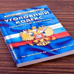 Мужчинам инкриминируют совершение преступления, предусмотренного частью 3 статьи 256 УК РФ