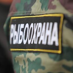 В положение о федеральном госконтроле в области рыболовства и сохранения водных биоресурсов внесли изменения