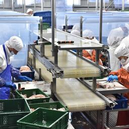 Предлагаемые поправки касаются производства продукции на береговых заводах под инвестквоты