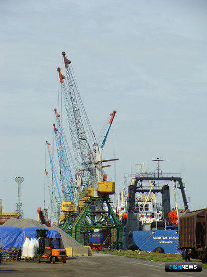 В Калининградском морском рыбном порту