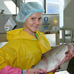 Сейчас женщины могут, например, заниматься рыбообработкой на береговых заводах. Фото пресс-службы «Гидростроя»