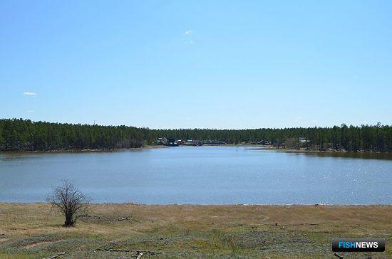 Озеро в Якутии. Фото из «Википедии»