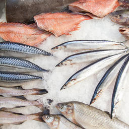Что ожидает мировой рыбный рынок