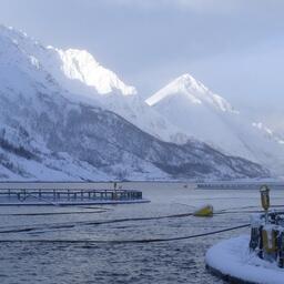 Акваферма в Норвегии. Архивное фото