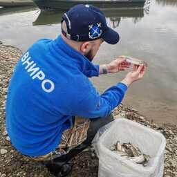 Специалисты Магаданского филиала ВНИРО провели учет азиатской зубастой корюшки, нерестящейся в июне в устье и низовьях реки Тауй. Фото пресс-службы МагаданНИРО