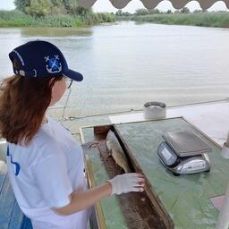 Волжско-Каспийский филиал ВНИРО планирует продолжить мониторинг состояния популяций и наблюдение за промыслом. Фото пресс-службы института