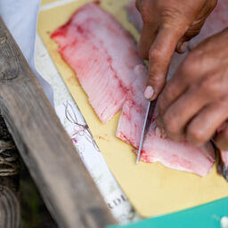 Жители Таймыра получат субсидии на реализацию мяса и рыбы. Фото пресс-службы правительства ЯНАО. CC BY 4.0