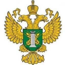 Сотрудники Россельхознадзора в Астраханской области не допустили ввоз из Казахстана 3 тонн мороженой рыбной продукции