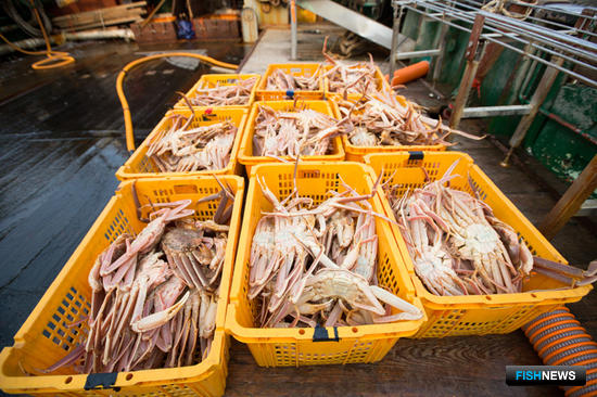 Крабы, отправляющиеся на Комплекс по переработке морепродуктов в Невельске