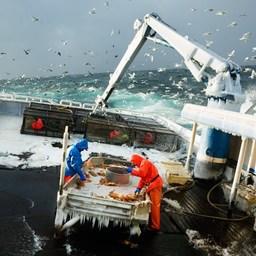 К 26 декабря отечественные рыбопромышленники добыли 4,96 млн тонн водных биоресурсов. Фото пресс-службы Росрыболовства