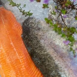 В рыбоводческих хозяйствах Карелии в прошлом году получили 18,9 тыс. тонн свежей и охлажденной рыбы