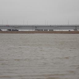 Специалисты полагают, что свою положительную роль в улучшении экологического состояния Азовского моря сыграл и Крымский мост. Фото пресс-службы АзНИИРХ