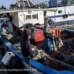 Планируется, что новый университет поможет развивать мелкое рыболовство Средиземноморья. Фото пресс-службы ФАО
