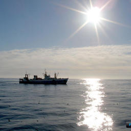 Рыбный бизнес США добивается от властей реакции на российские санкции