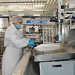 Филетировочная машина BAADER 588 для свежей или дефростированной рыбы тресковых пород на заводе «Русский минтай» в Приморье