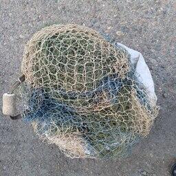 В Республике Бурятия суд рассмотрит дело о незаконной добыче сибирского осетра. Фото пресс-службы региональной прокуратуры