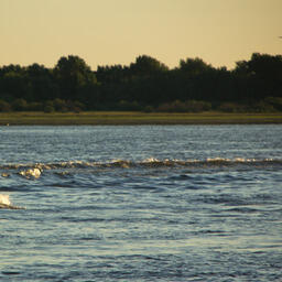 В Астрахани бывший сотрудник Росрыболовства предстанет перед судом по обвинению во взяточничестве