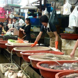 Теперь Китай потребляет больше рыбы и морепродуктов из стран АСЕАН, чем из России. Фото портала Seafood Source