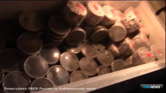 Правоохранители изъяли свыше 1,2 тонны браконьерской икры. Оперативная съемка УФСБ по Хабаровскому краю