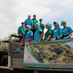 Ребята Кыринской школы на акции «Чистой  реке – чистые берега». Фото пресс-службы WWF