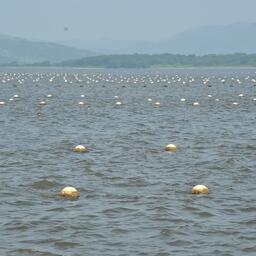 Мариферма в Приморском крае. Архивное фото