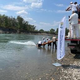 Предприятия Терско-Каспийского филиала Главрыбвода по итогам 2025 г. выпустили более 15 млн экземпляров рыбной молоди. Фото пресс-службы учреждения