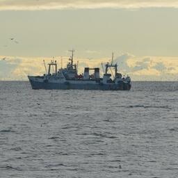 Рыбный промысел на Дальнем Востоке. Фото предоставлено «Океанрыбфлотом»