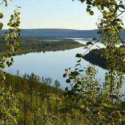 Река Алдан. Фото Diazepino («Википедия»). Файл доступен по лицензии Creative Commons Attribution 3.0 Unported