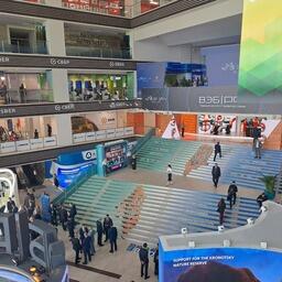 На ВЭФ традиционно будут обсуждаться и вопросы рыбной отрасли, а также связанная с этим тематика. Архивное фото