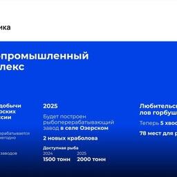 Слайд из презентации губернатора