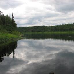 Река Бахта в июле. Фото Remulazz («Википедия»)