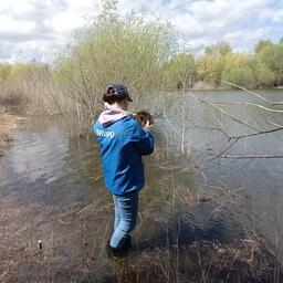Специалисты Волжско-Каспийского филиала ВНИРО начали исследования по естественному воспроизводству полупроходных и речных рыб на Нижней Волге. Фото пресс-службы института