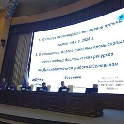 ДВНПС рассмотрел результаты сезона «А» минтаевой путины