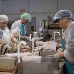 С начала года предприятия ЯНАО выловили почти 7,4 тыс. тонн рыбы. Фото пресс-службы губернатора, CC BY-SA 4.0