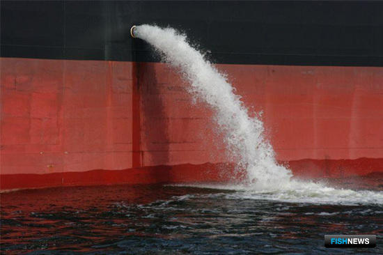 Балластные воды танкера. Фото из открытых источников