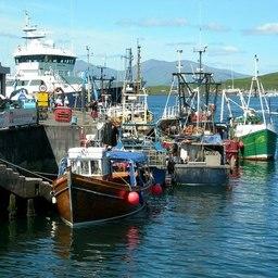 Рыбацкий флот в Шотландии. Фото Mary и Angus Hogg