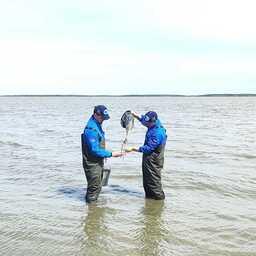 Ученые две недели вели исследования на озерах Зауралья. Фото пресс-службы ВНИРО